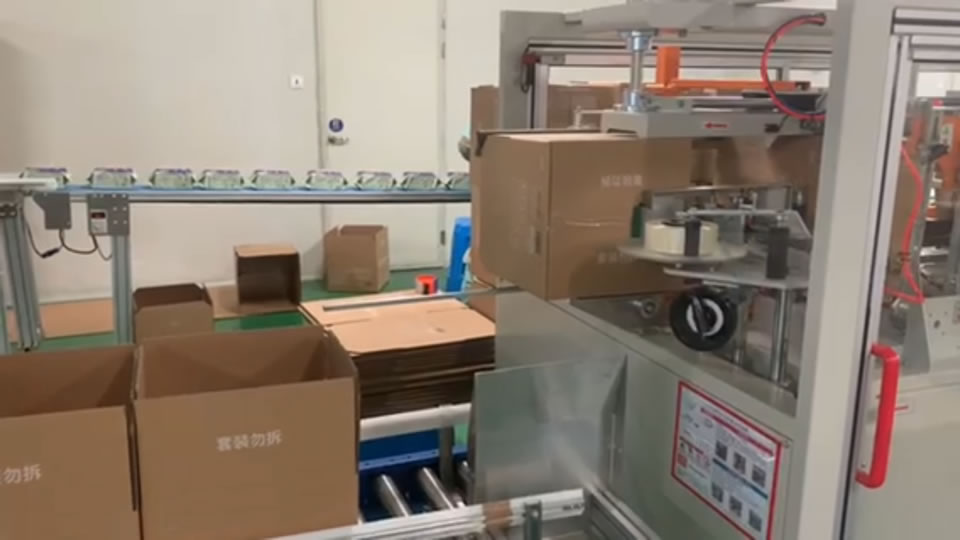 AUTOMATIC CASE PACKER